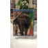 SON FİL BAKICISI BLU RAY