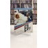 ED TV DIGIPACK DVD