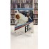 ED TV DIGIPACK DVD