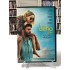 DEHA DVD