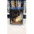 İBN-İ SİNA DVD