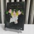 SAVAŞ VE BARIŞ DVD