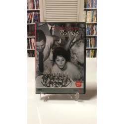 SOPHIA'NIN PEŞİNDE DVD