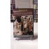 ÜNİVERSİTE DVD