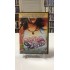 FESTIVAL EXPRESS DVD-  2 DISK