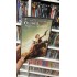 OLUMCUL DENEY : SON BOLUM DVD