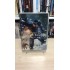 PASİFİK SAVAŞI DVD