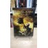 TİTANLARIN SAVAŞI DVD ( 2 DİSK )