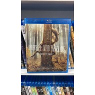 ARKADAŞIM CANAVAR BLURAY