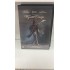 WYATT EARP DVD 
