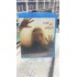 THEY ARE INSIDE BLU RAY