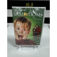 EVDE TEK BASINA - HOME ALONE DVD