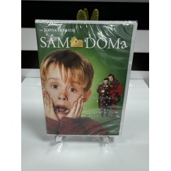 EVDE TEK BASINA - HOME ALONE DVD