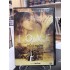 DİĞER KADIN DVD