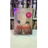 HAMAM DVD