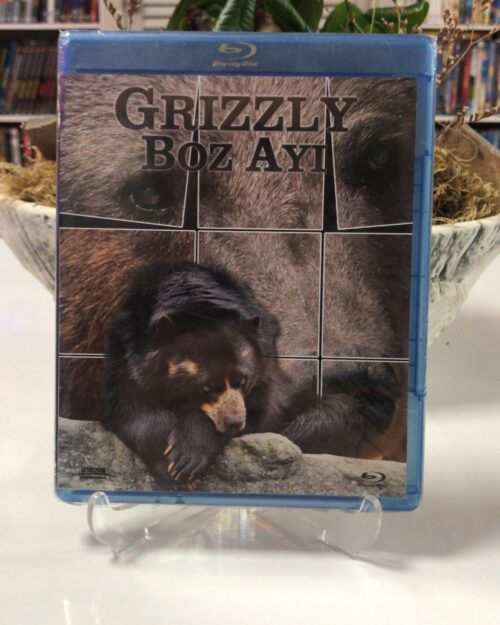 Boz Ayi Blu Ray