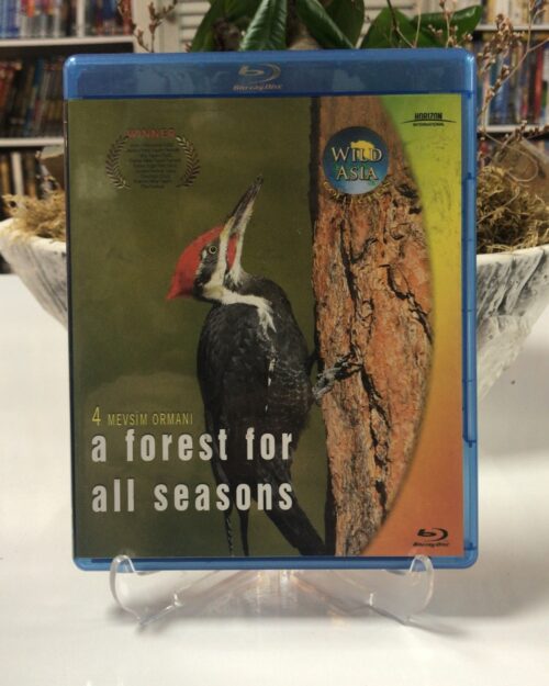 Dört Mevsim Ormani Blu Ray