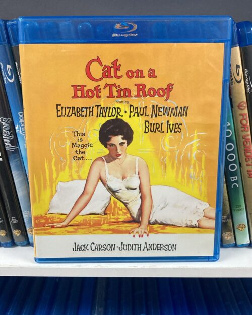 Kizgin Damdaki Kedi Bluray