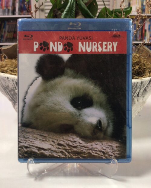Panda Yuvasi Blu Ray