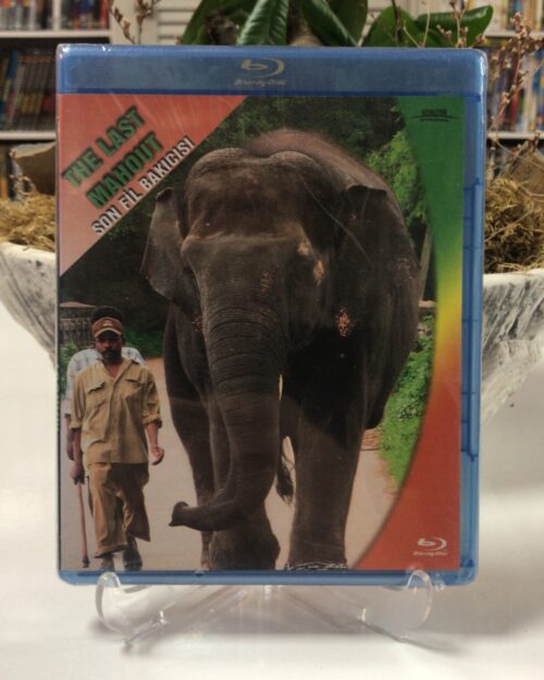 Son Fil Bakicisi Blu Ray