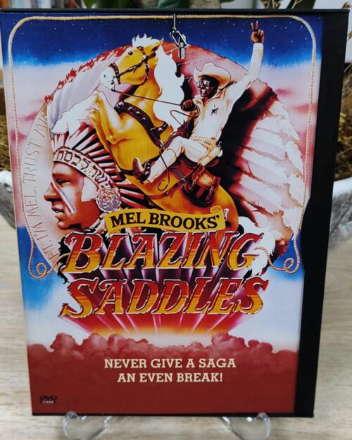 Blazing Saddles – Gümüş Eğerler DVD Snapcase