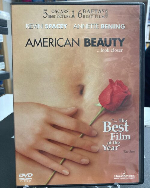 Amerikan Güzeli DVD