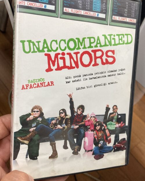 Başiboş Afacanlar DVD