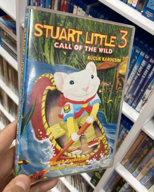 Küçük Kardeşim 3 DVD