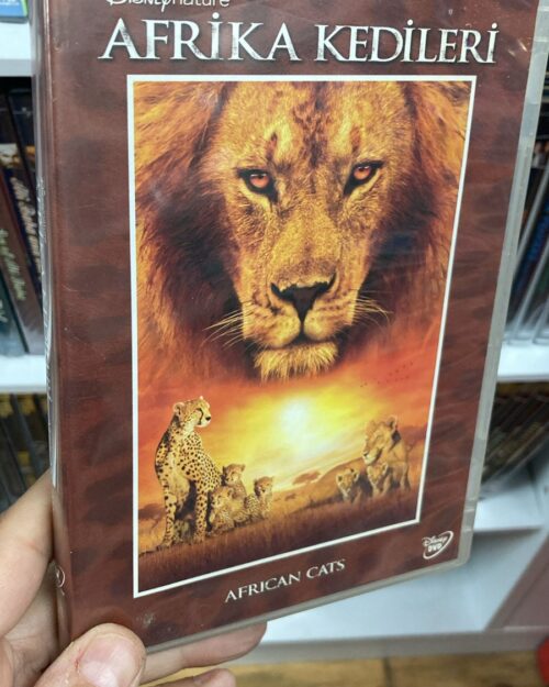 Afrika Kedileri DVD